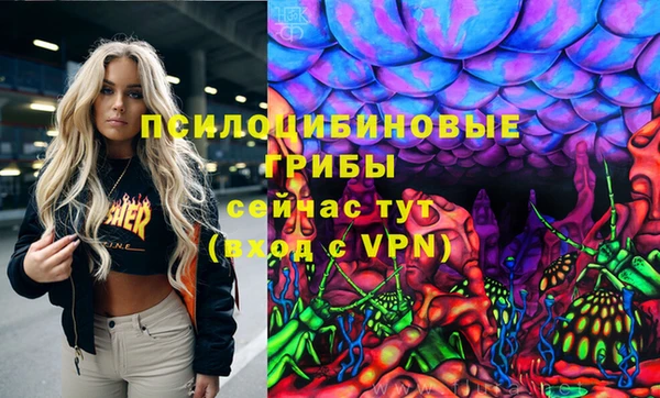 spice Баксан